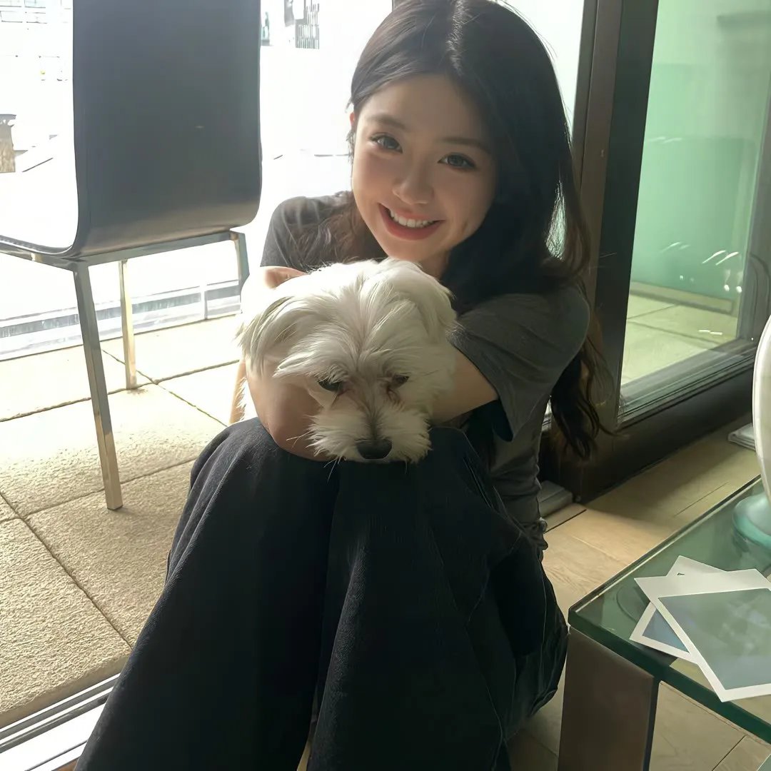 阿曼达·塞弗里德 