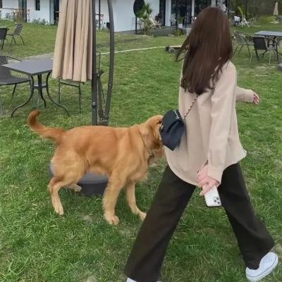 你的错误 海报